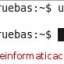 ubuntu32064bits-01